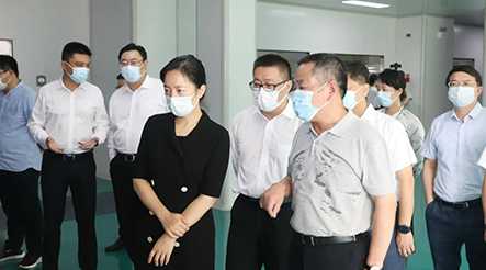 市委副书记、代市长盛蕾一行莅临公司视察调研